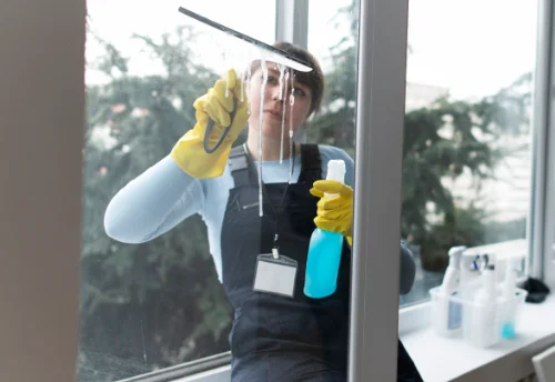 Nettoyage de vitres intérieures et extérieures à Saint-Marc-à-Frongier